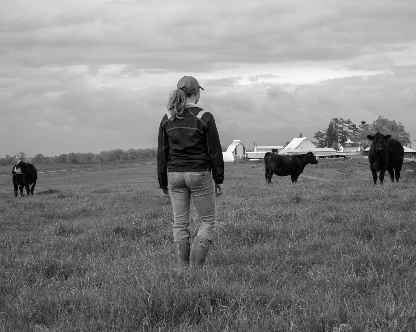 Download Young Women Struggle With The Decision To Stay On The Family Farm Topic