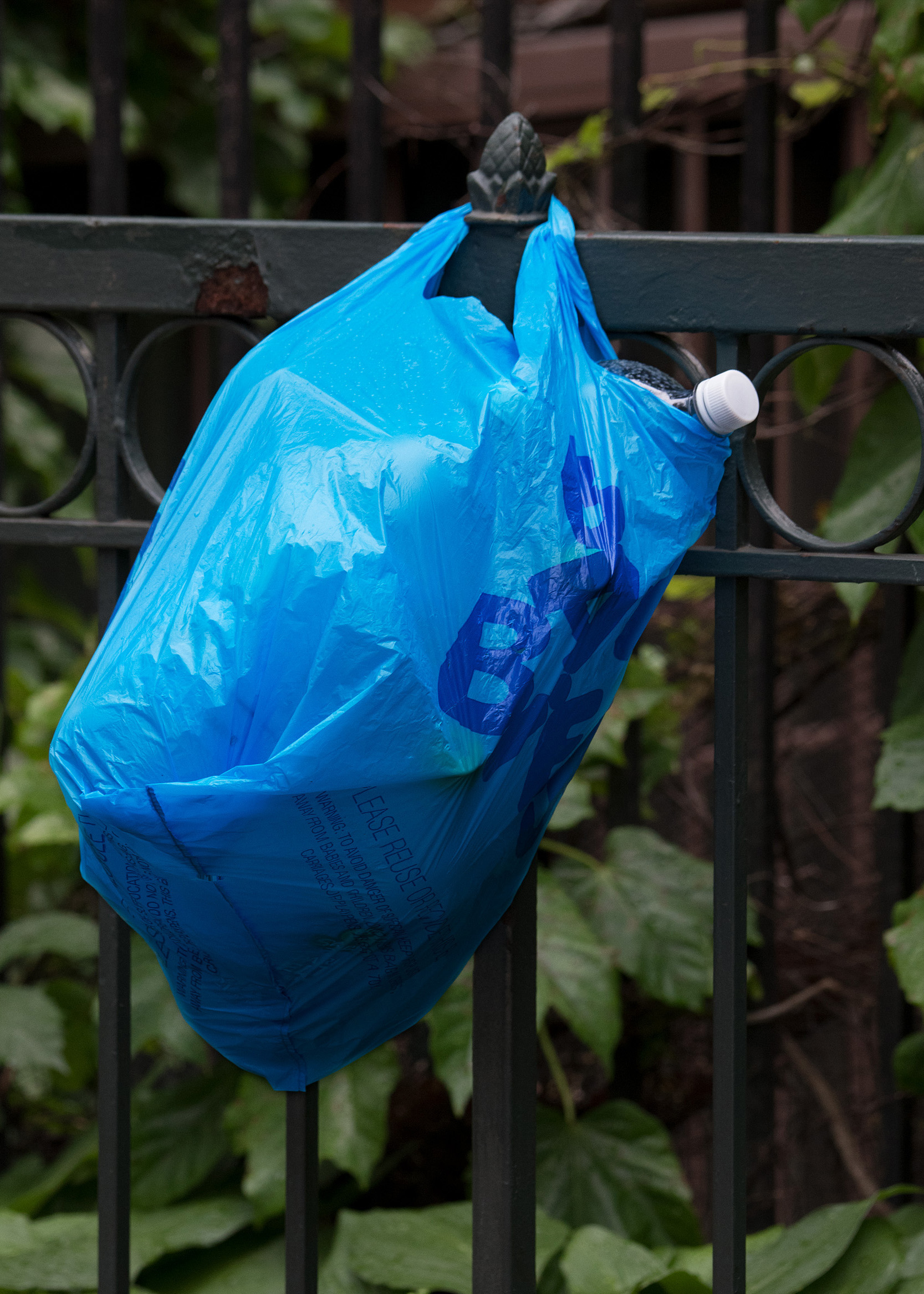 Blue PP And LDHM & BOPP Plastic Bag, Capacity: 4 - 5 Kg