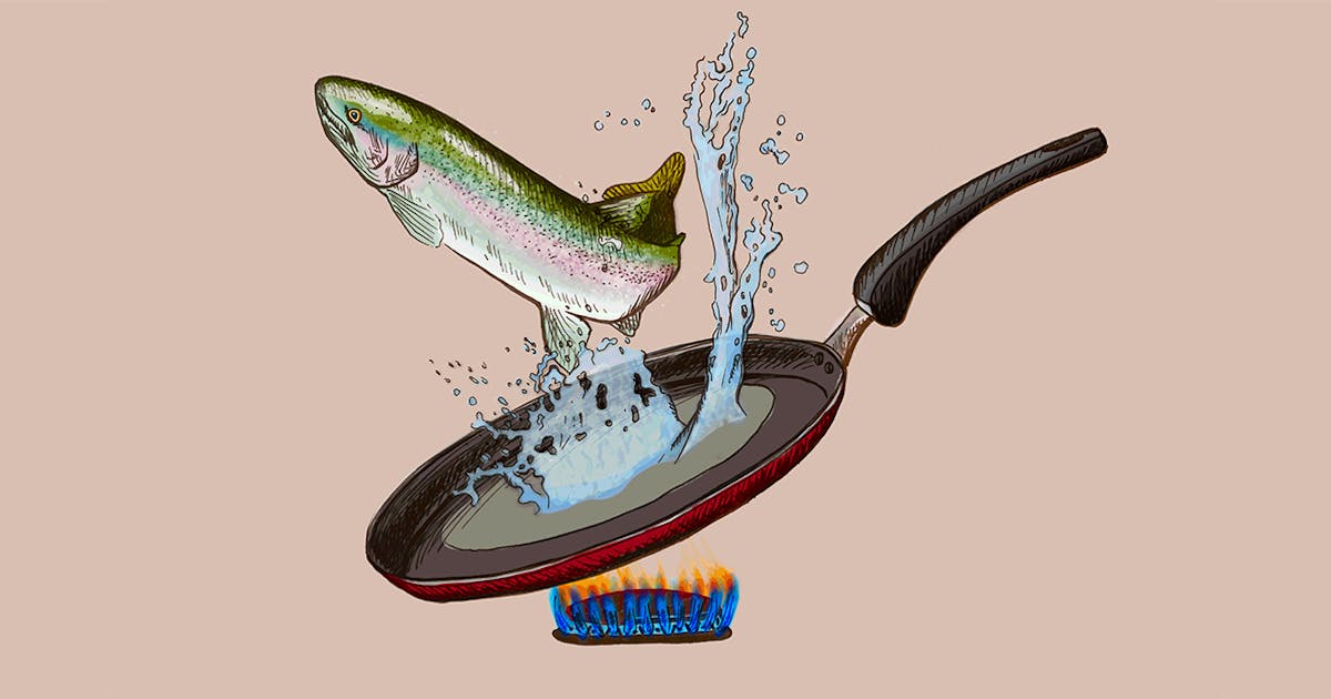 How To Humanely Kill A Fish Topic how to humanely kill a fish topic