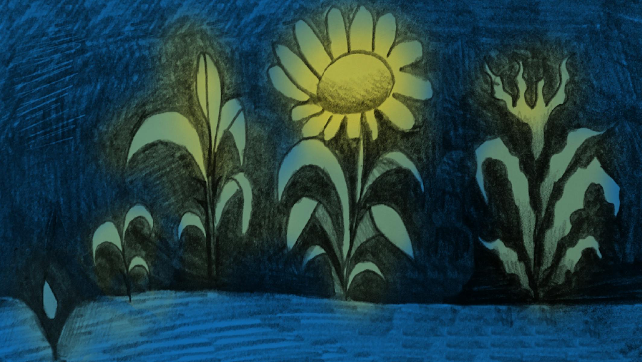 The first sketch submitted of the chosen cover idea, using the plant life cycle as a metaphor for humans’ rites of passage.
